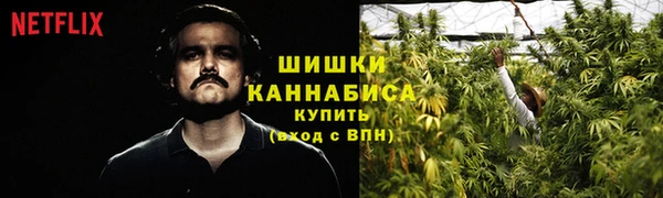 СК Новокубанск