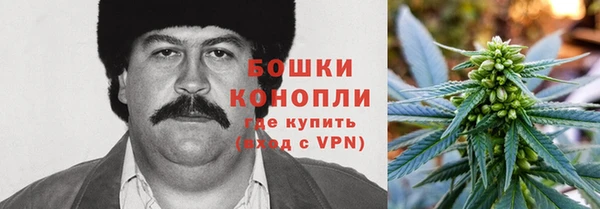 гашик Нефтегорск