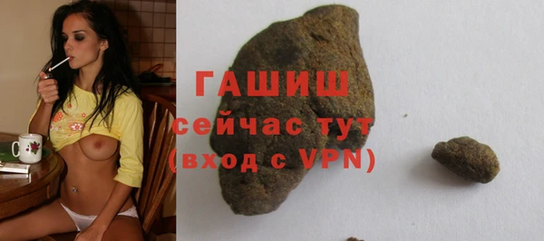 хмурый Новозыбков