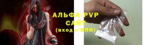 хмурый Новозыбков