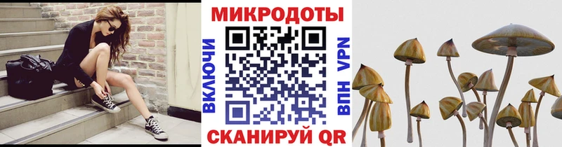 Галлюциногенные грибы Psilocybine cubensis  магазин продажи наркотиков  KRAKEN ТОР  Оса 